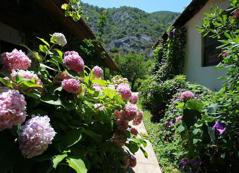 Vista esterna Foto