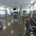 Palestra