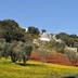 Vista esterna