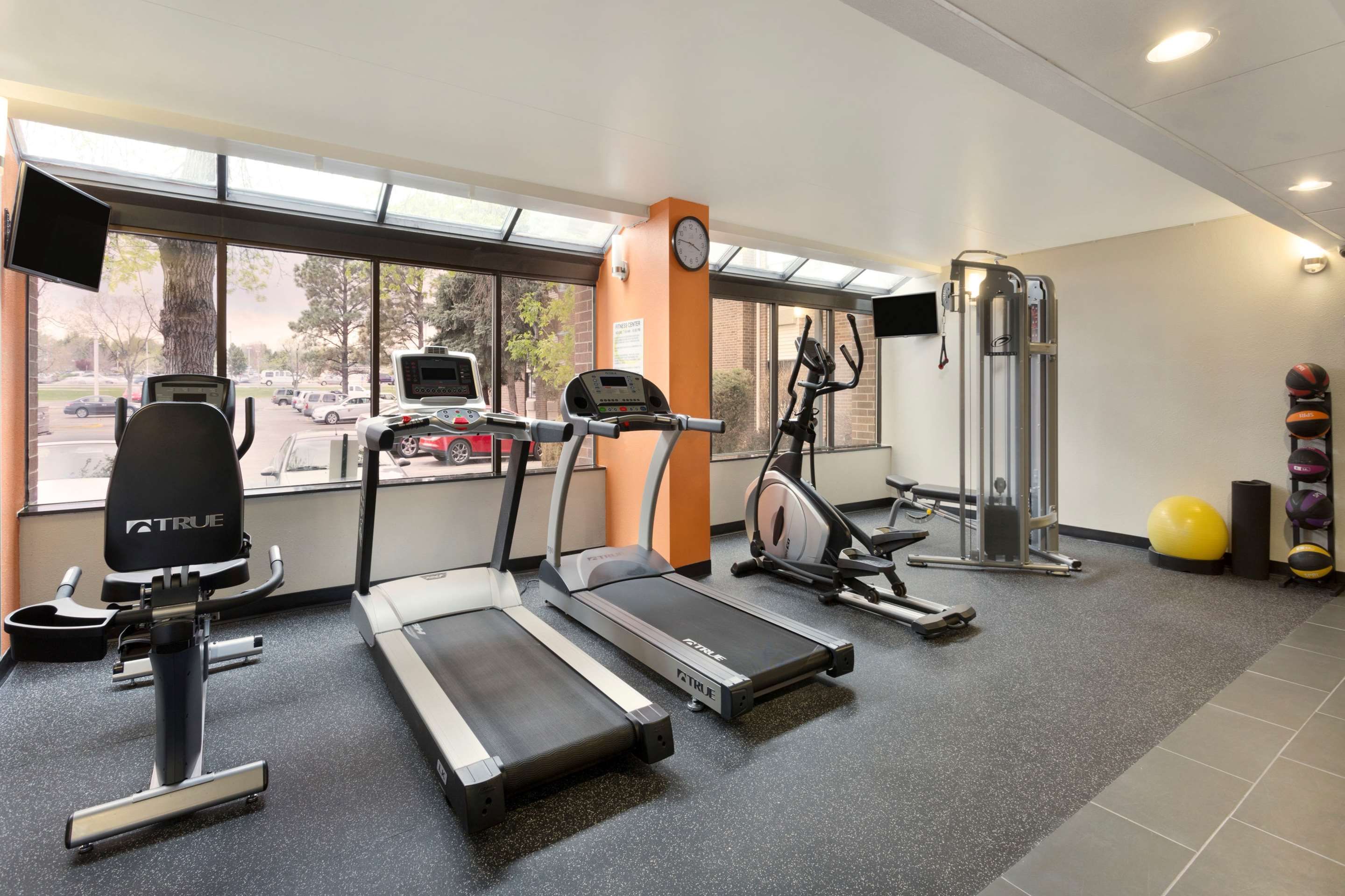 Palestra