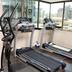 Palestra