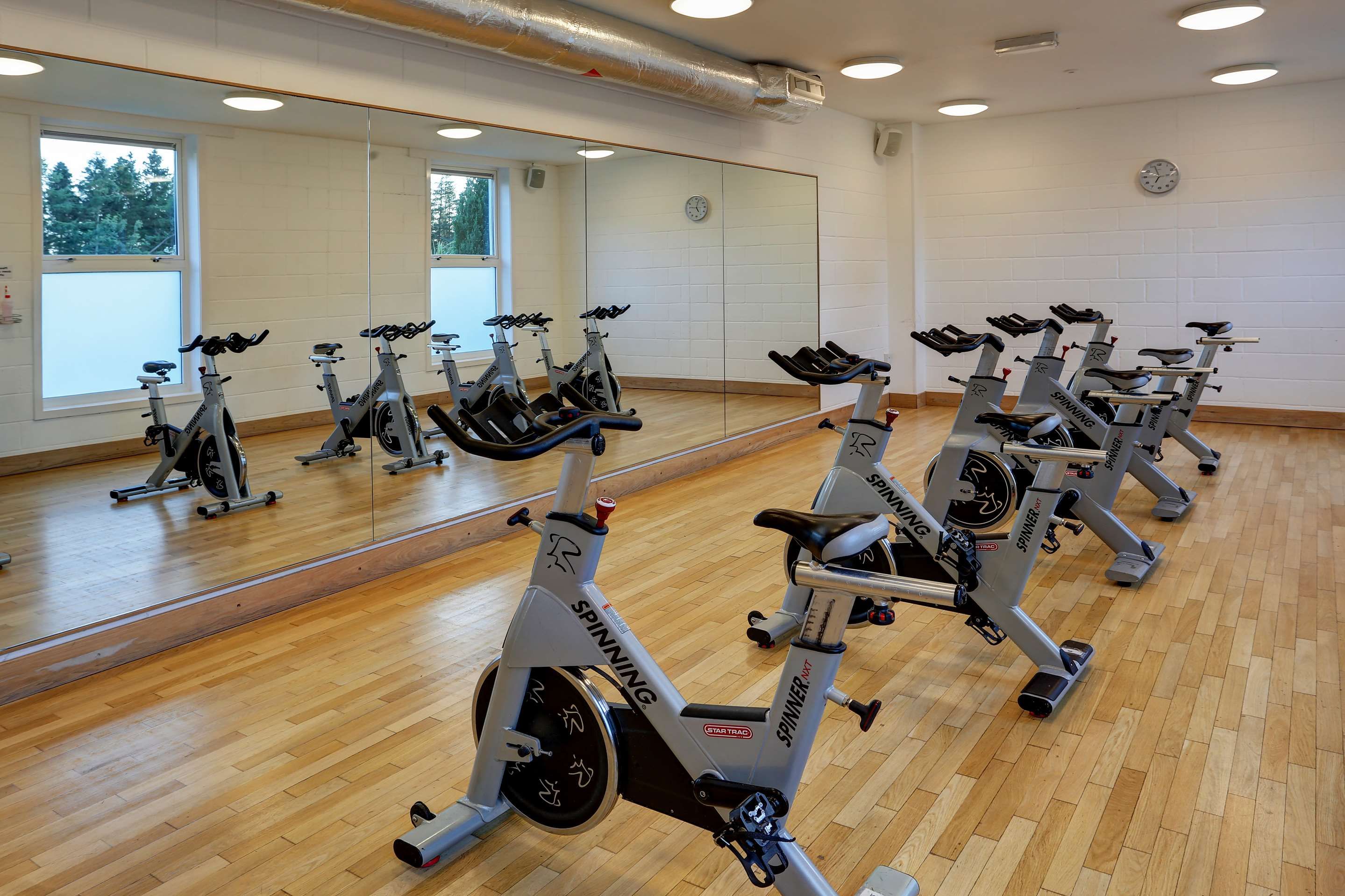 Palestra