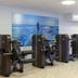 Palestra