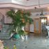Ingresso