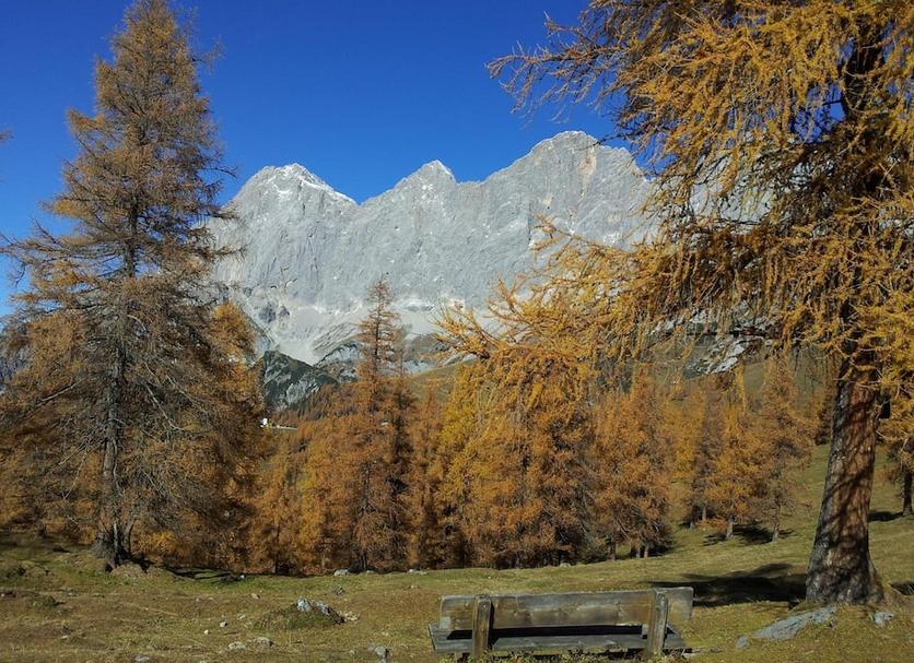 Altro Foto