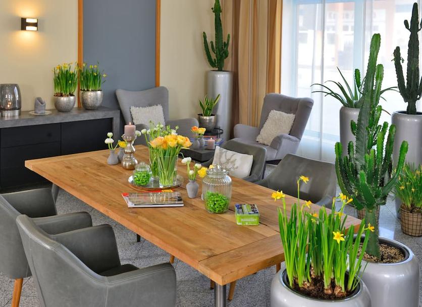 Sala pranzo Foto