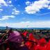 Vista esterna