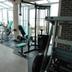 Palestra