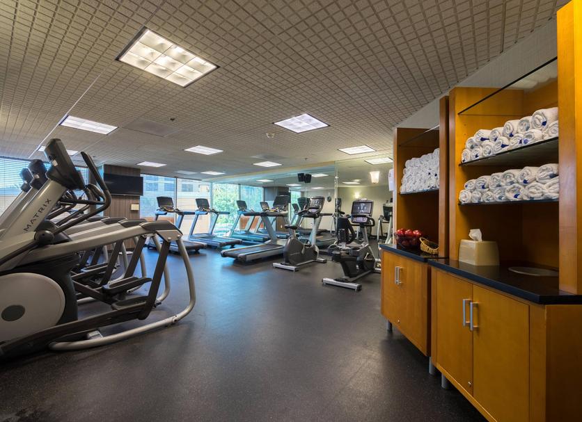 Palestra Foto