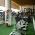 Palestra