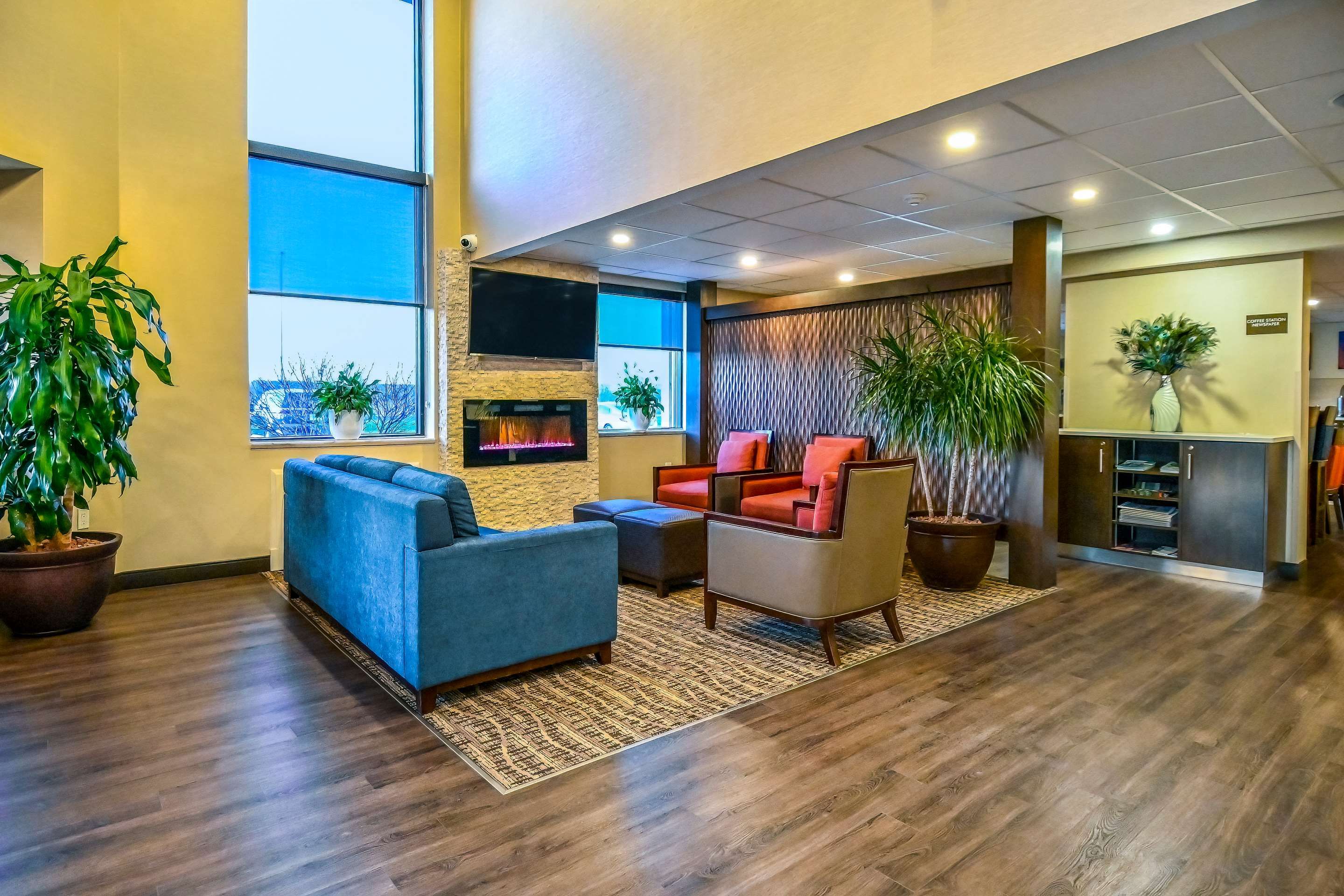 Area lounge