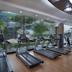 Palestra