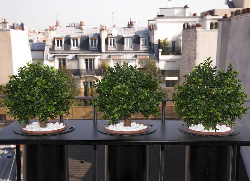 Balcone Foto