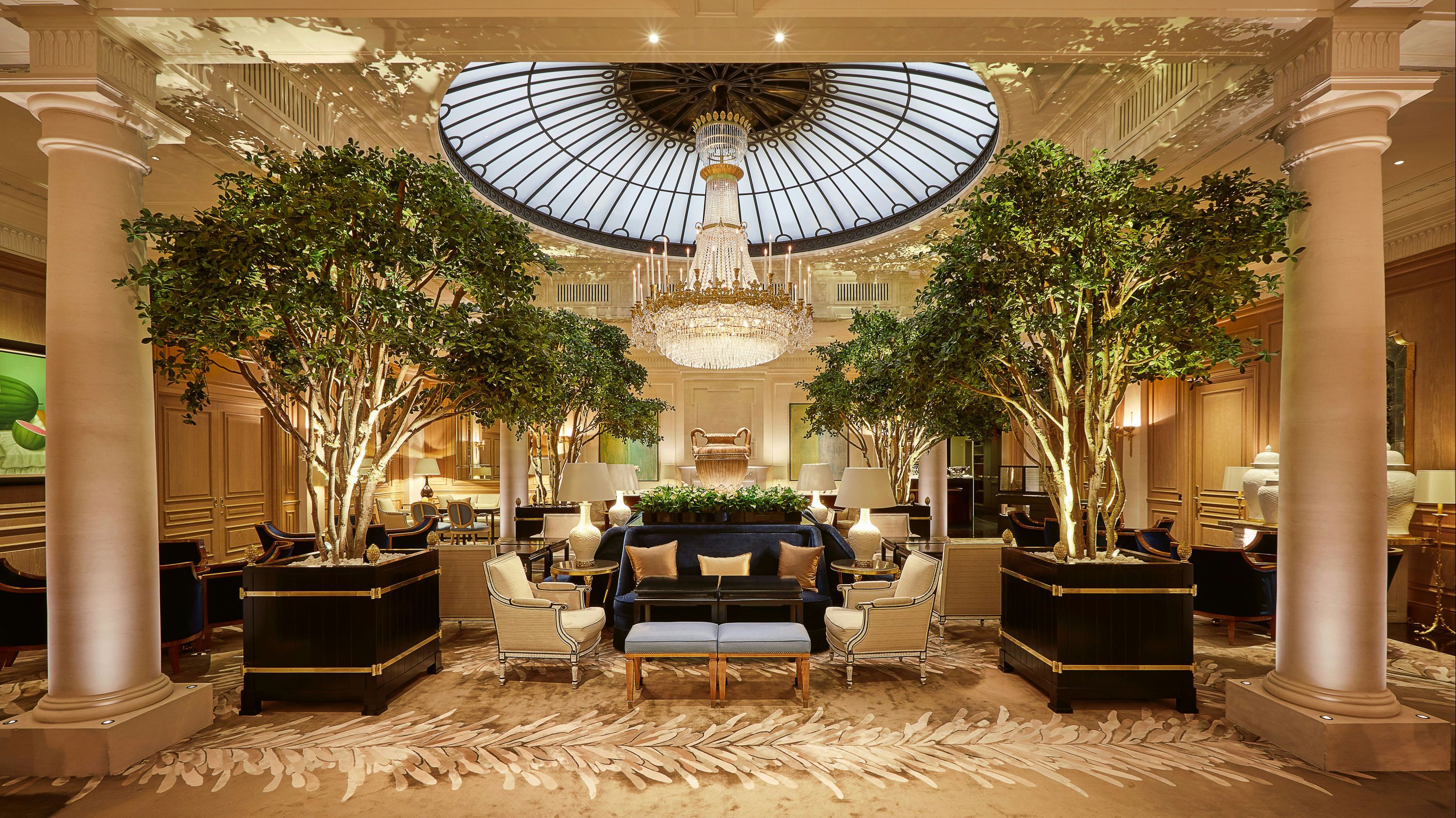 Area lounge