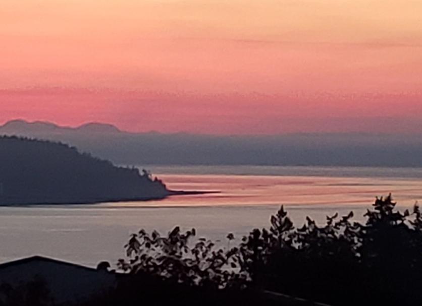 Altro Foto
