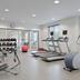 Palestra