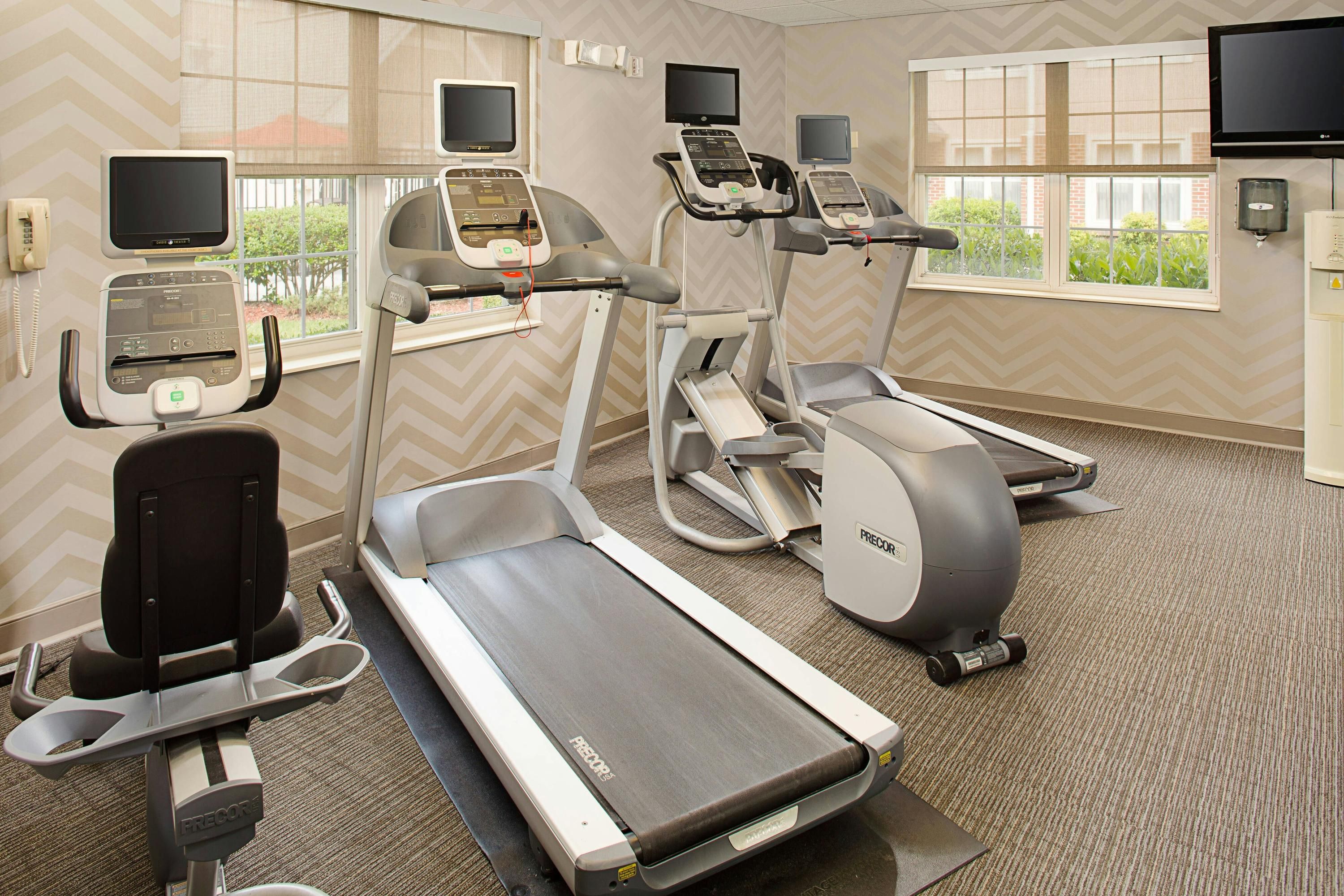 Palestra
