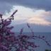 Vista esterna