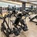 Palestra