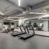 Palestra