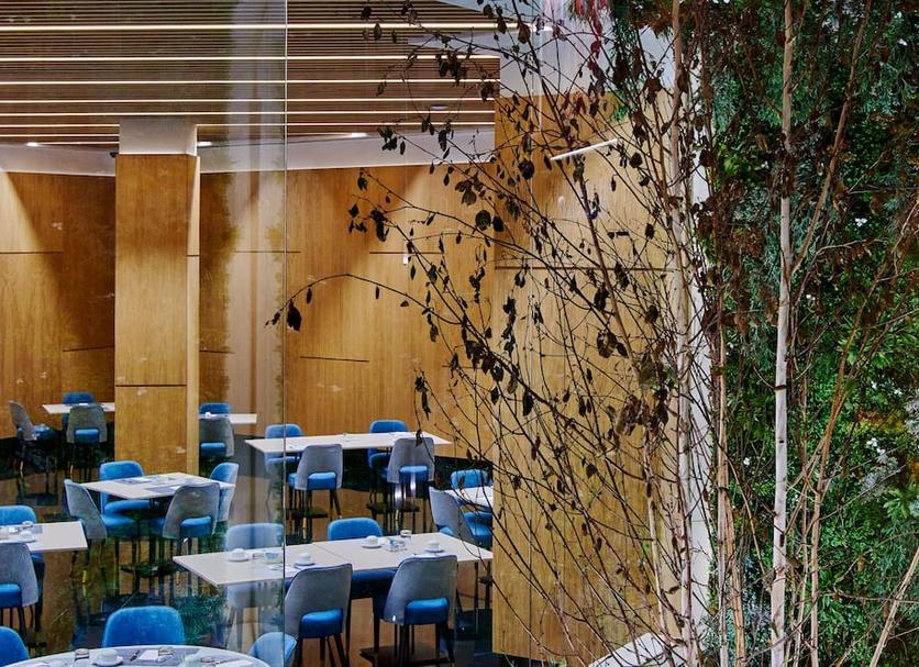 Ristorante Foto