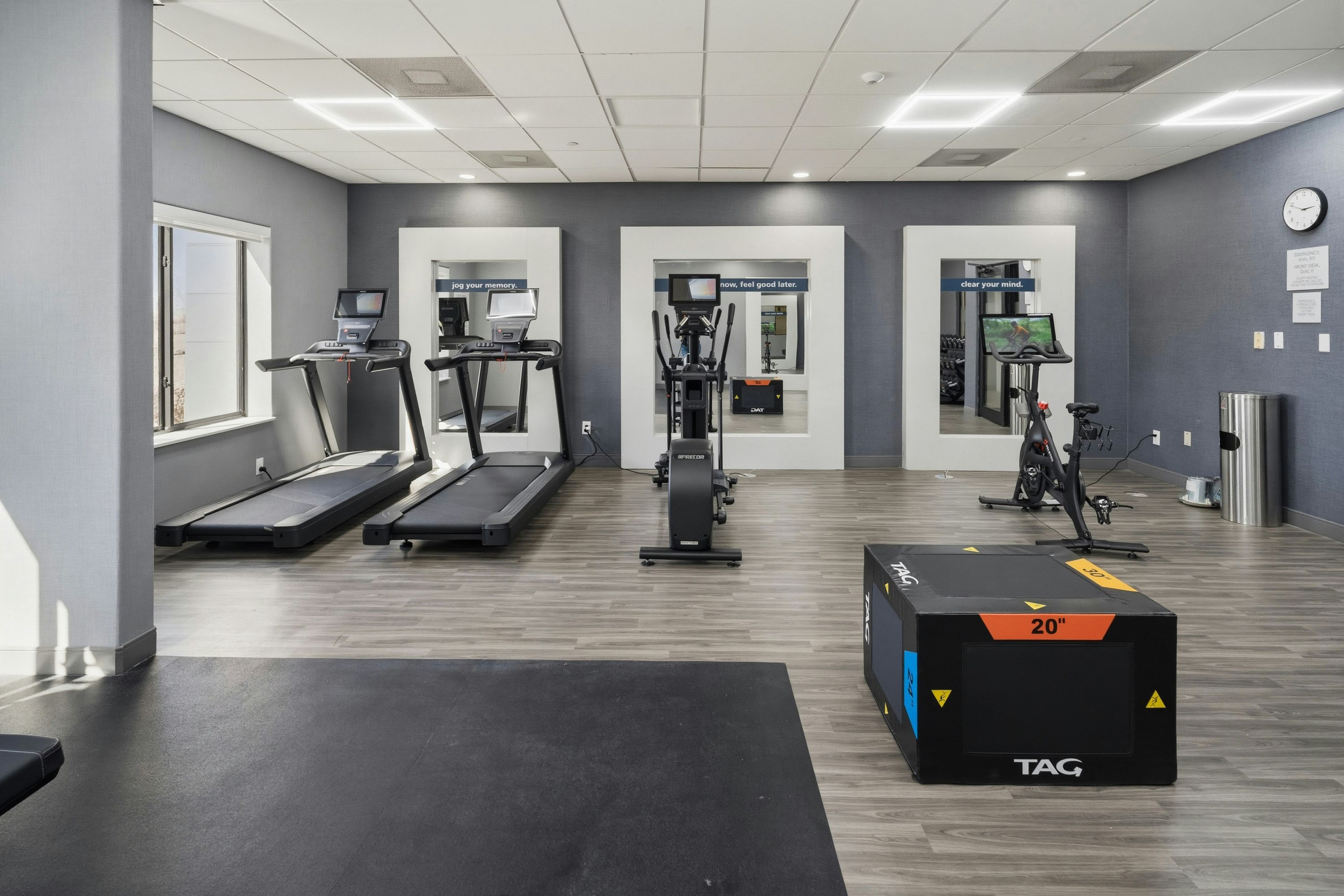 Palestra