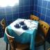 Sala pranzo
