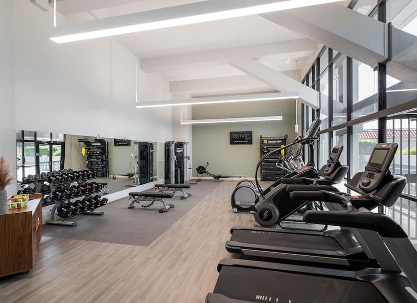 Palestra Foto