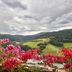 Vista esterna