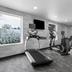 Palestra