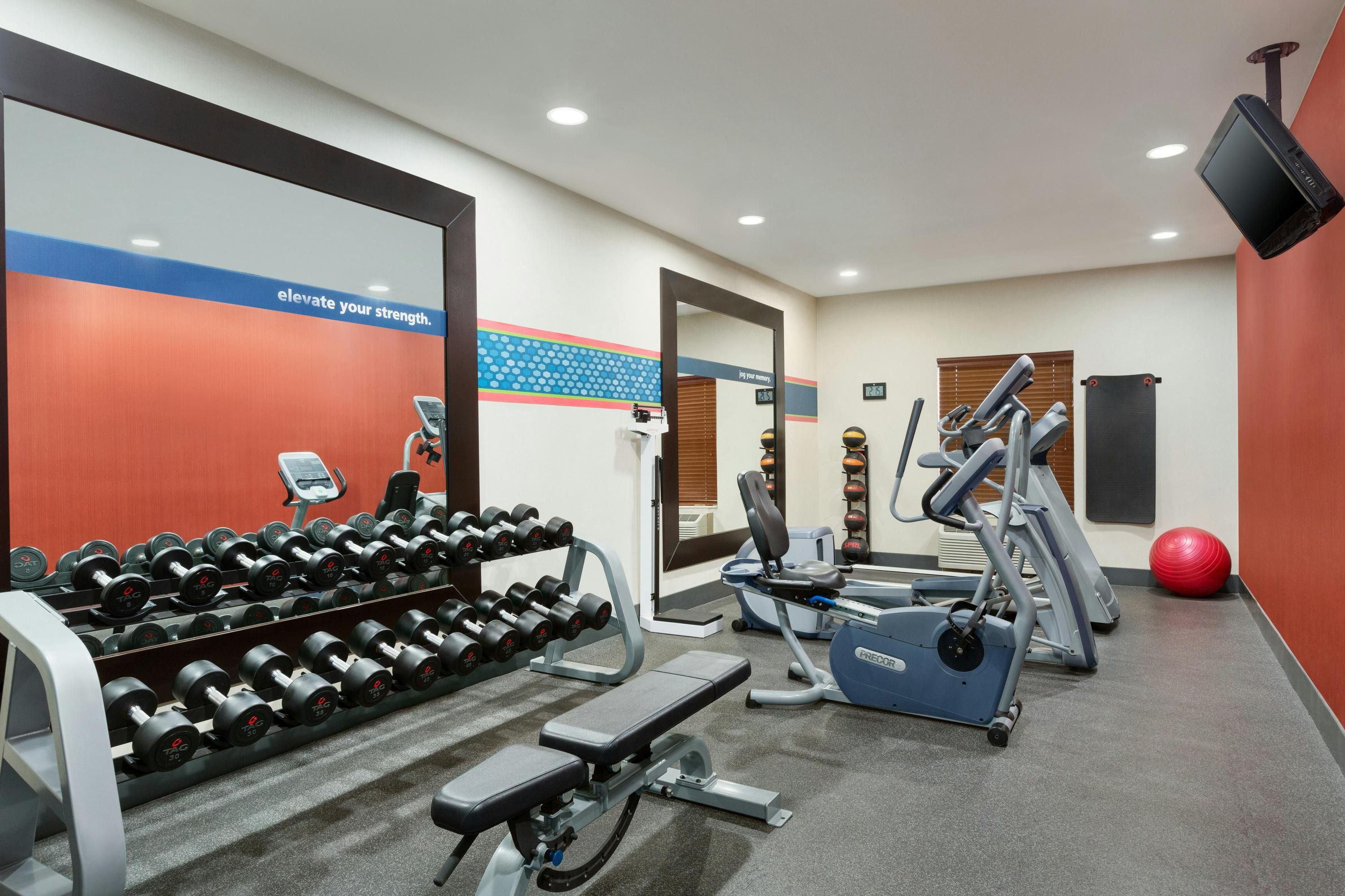 Palestra