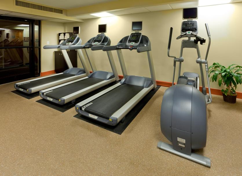Palestra Foto