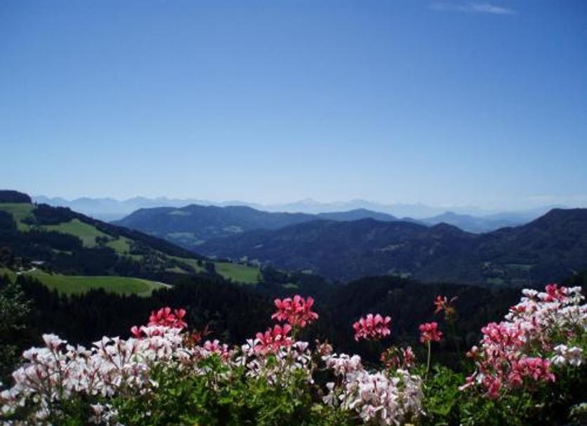 Vista esterna Foto