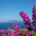 Vista esterna