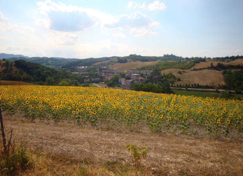 Vista esterna Foto
