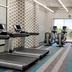 Palestra