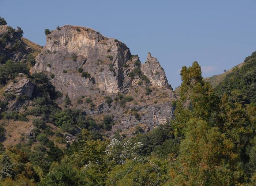Altro Foto