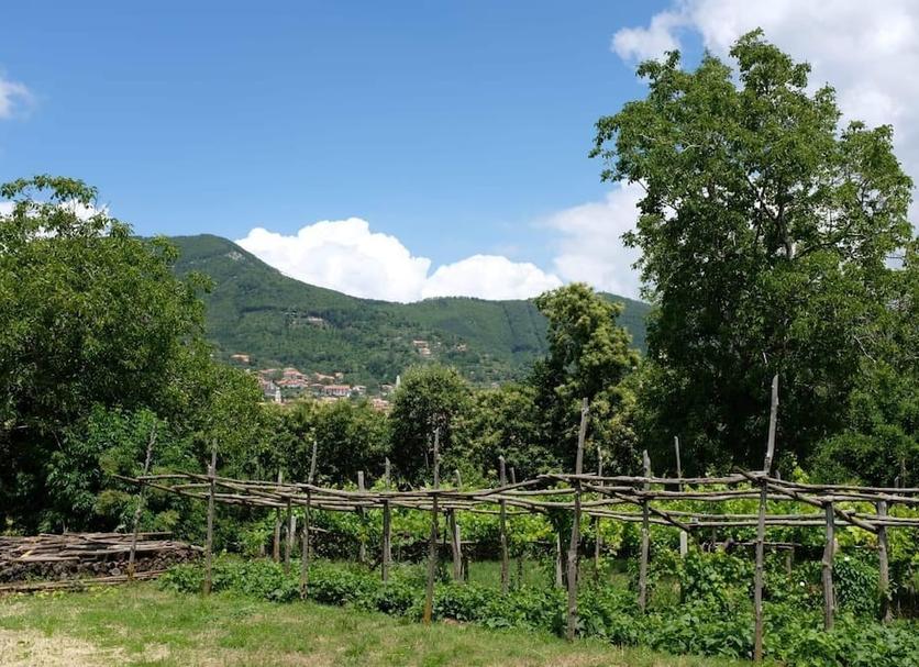 Vista esterna Foto