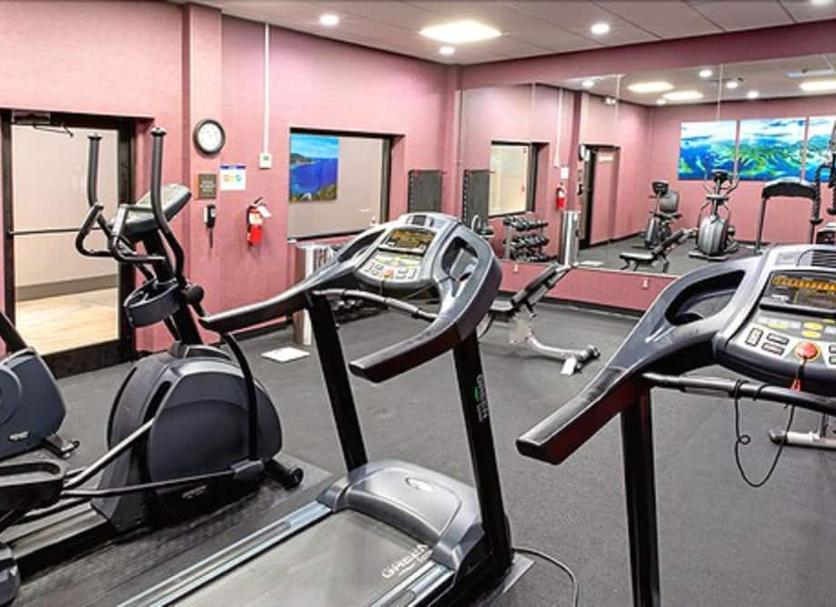 Palestra Foto