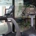 Palestra