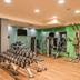 Palestra