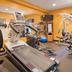 Palestra