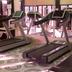 Palestra