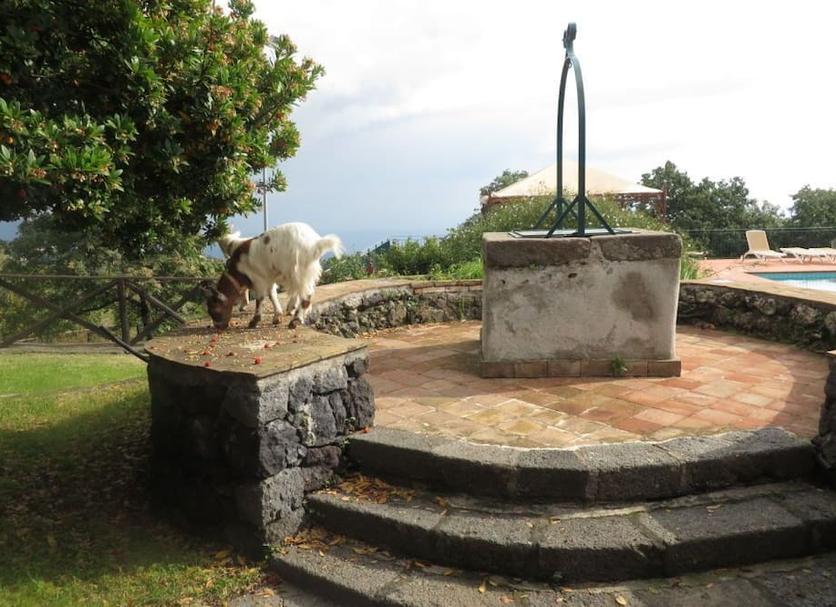 Vista esterna Foto