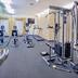 Palestra