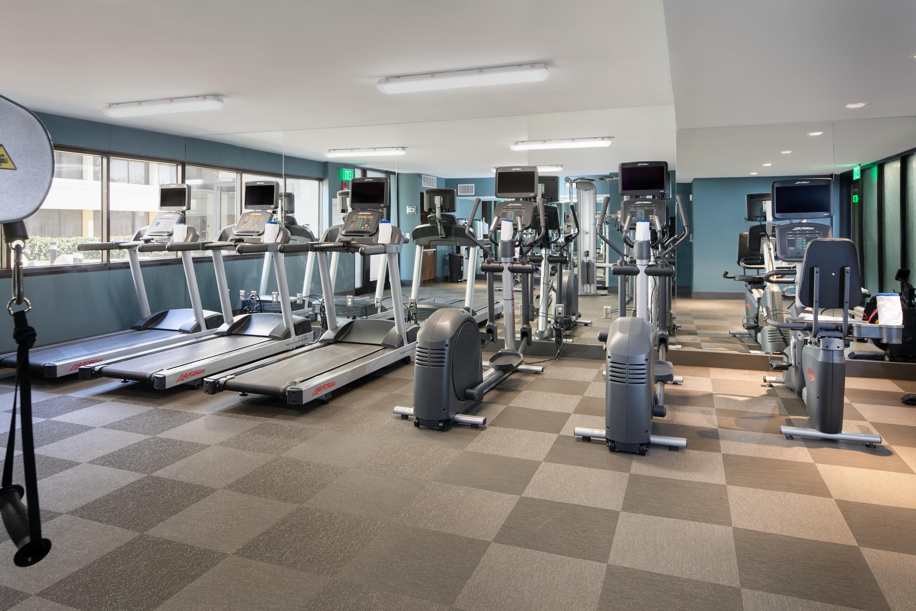Palestra
