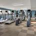 Palestra