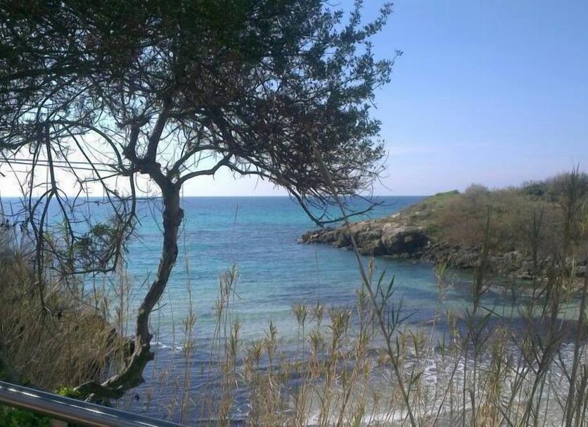 Vista esterna Foto