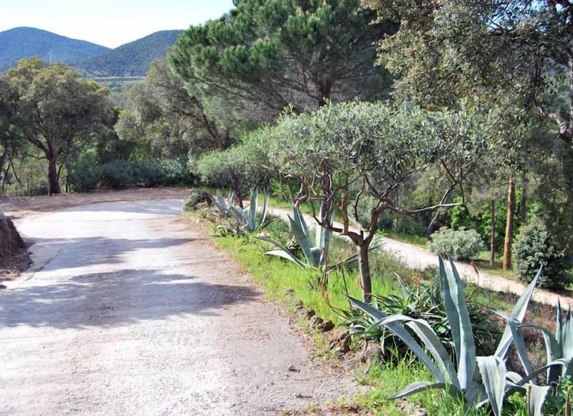 Vista esterna Foto