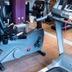 Palestra